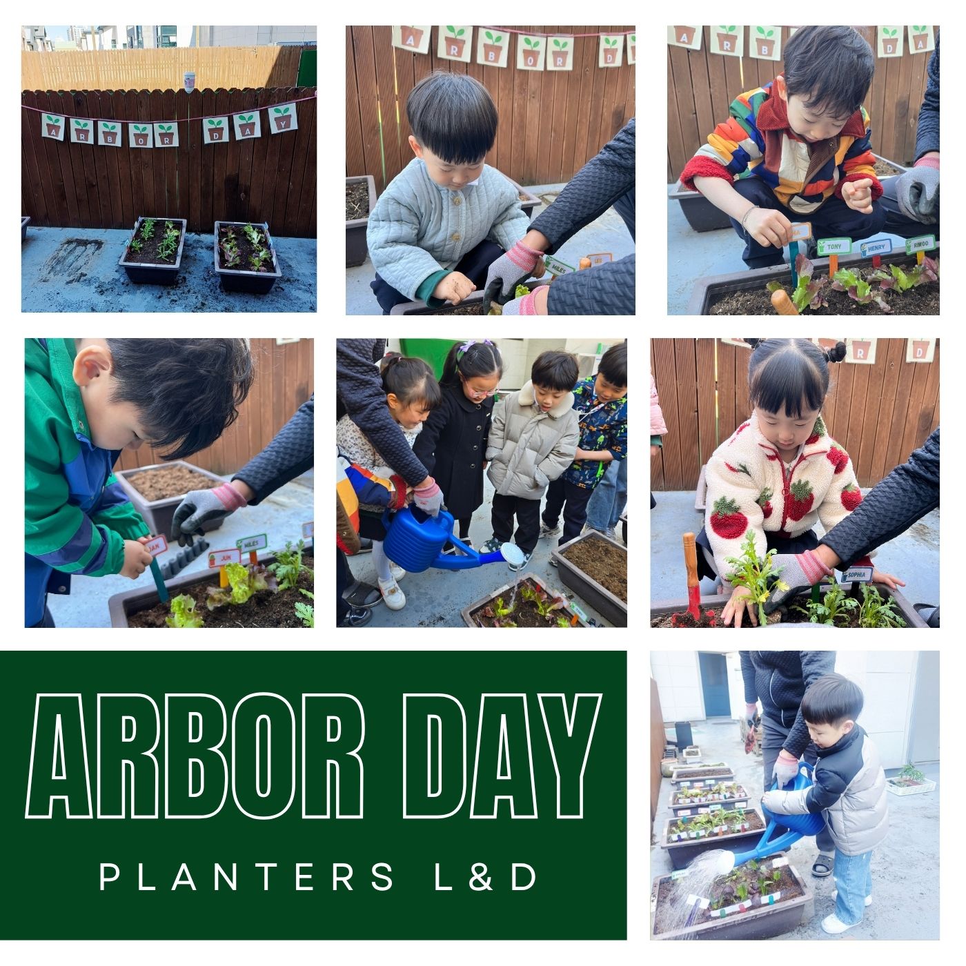 ARBOR DAY